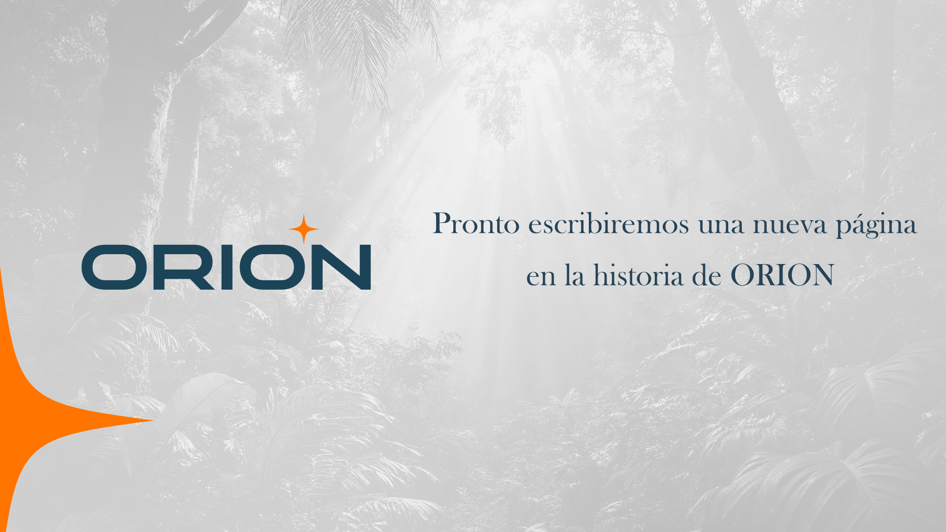 Portada ORION